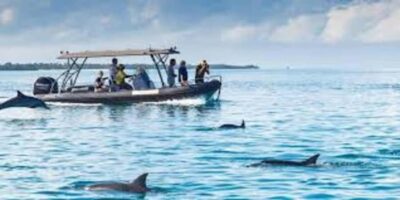 ZANZIBAR: Mnemba island, Baraka aquarium and spice farm - How snorkeling works near the coral reefs (and what low tide changes)