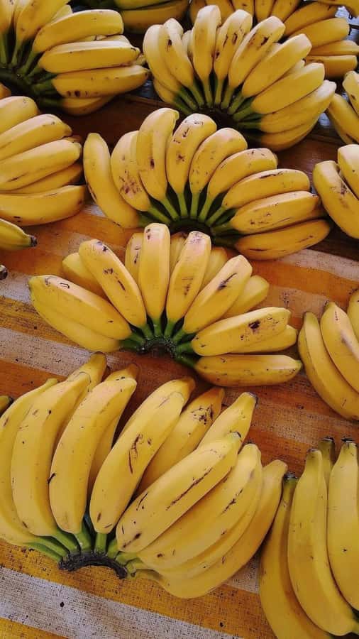 ZANZIBAR: Mnemba island, Baraka aquarium and spice farm - Spice farm: where Zanzibar flavors become real