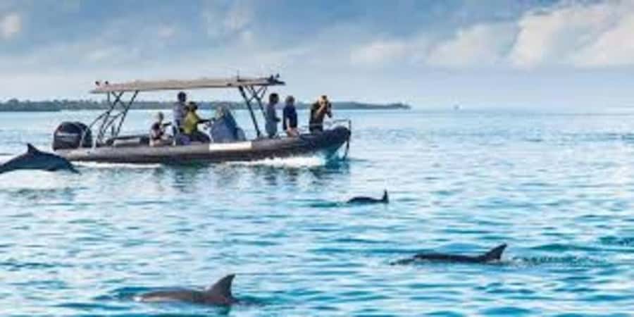 ZANZIBAR: Mnemba island, Baraka aquarium and spice farm - How snorkeling works near the coral reefs (and what low tide changes)