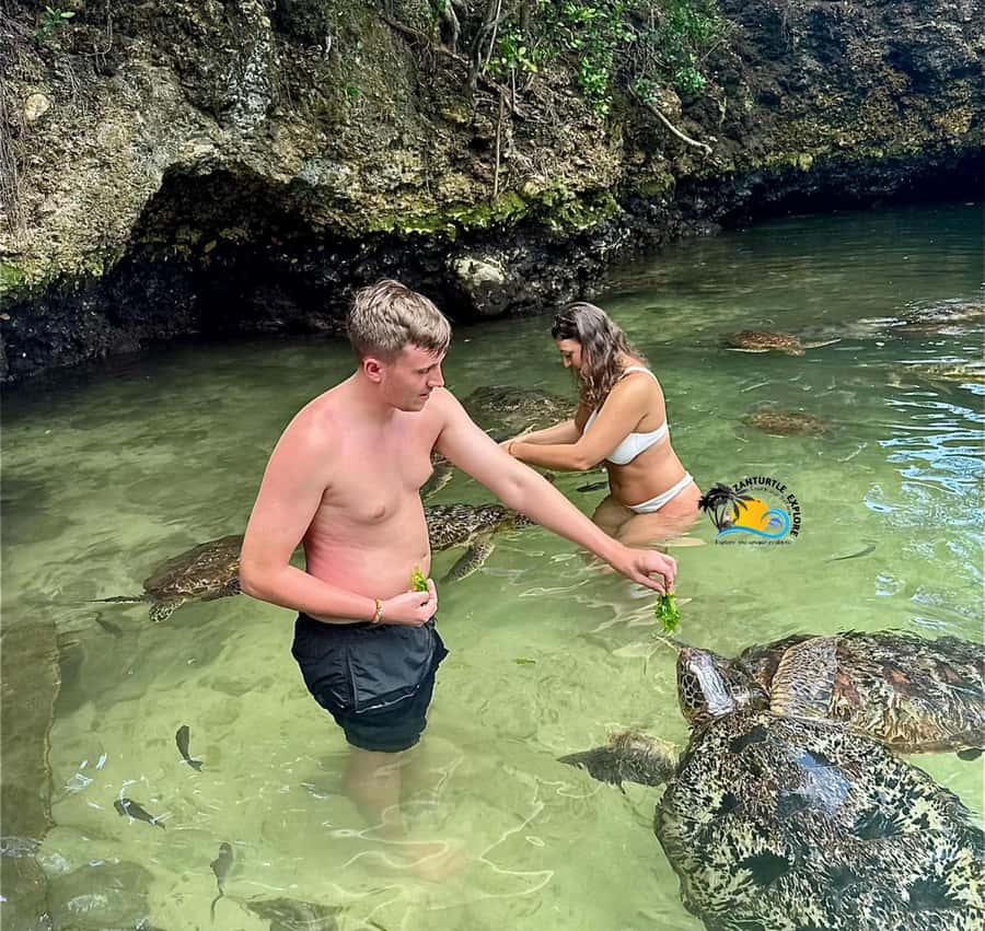 Zanzibar: Nungwi Mnarani Aquarium Feed and Swim with Turtles - Key highlights at Mnarani Turtle Sanctuary (Nungwi)