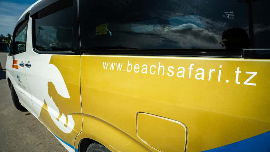 Zanzibar: Nungwi Turtle Aquarium Guided Half-Day Trip - Price and Value: What $22 Really Means for You