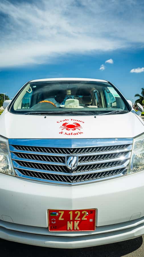 Zanzibar: Nungwi Turtle Aquarium Guided Half-Day Trip - Should You Book the Nungwi Turtle Aquarium Guided Half-Day Trip?