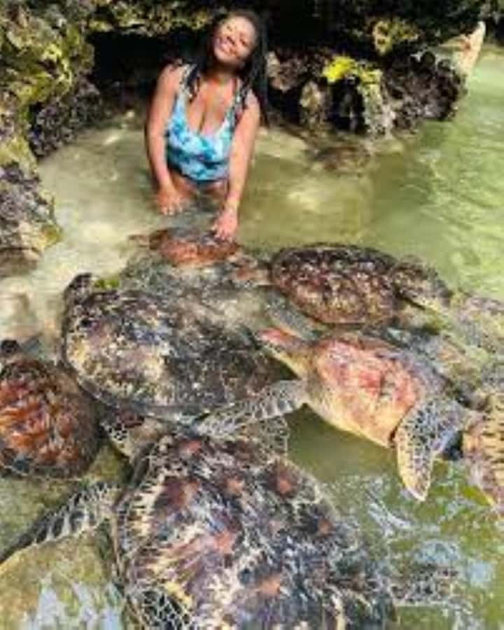 Zanzibar: Swim with Sea Turtles at Baraka or Salaam Aquarium - Why Going Around 9am Can Make You Happier