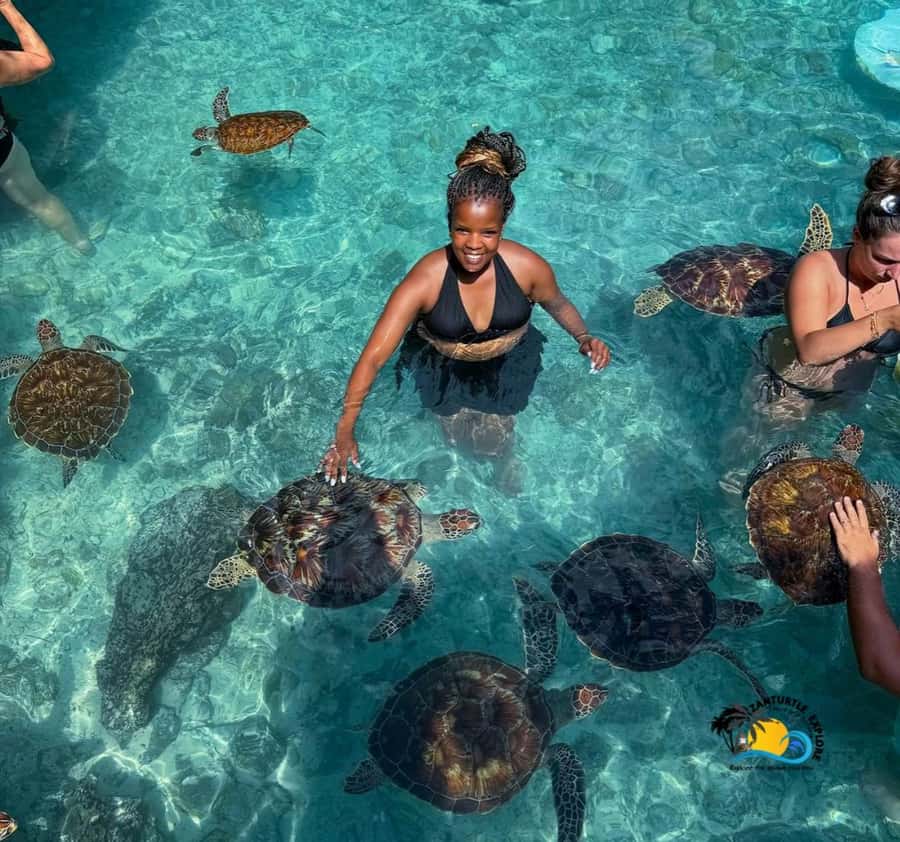 Zanzibar: Swimming with Turtles at Salaam Cave Aquarium - Inside the cave area: photos, walking, and a quick reality check