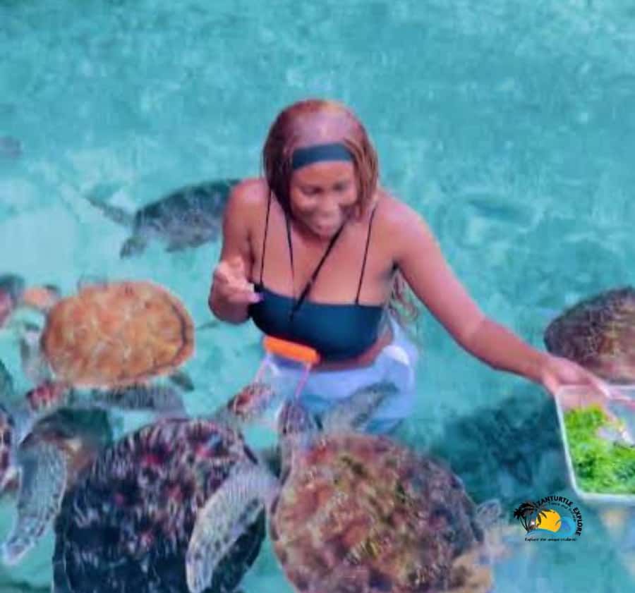 Zanzibar: Swimming with Turtles at Salaam Cave Aquarium - The turtle swim: what you’re doing and how to do it safely