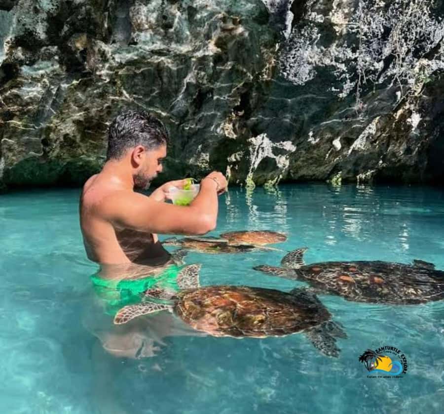 Zanzibar: Swimming with Turtles at Salaam Cave Aquarium - Conservation in plain terms: why this visit has a purpose