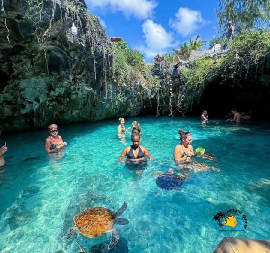 Zanzibar: Swimming with Turtles at Salaam Cave Aquarium - What to bring (and what not to bring) for your turtle swim