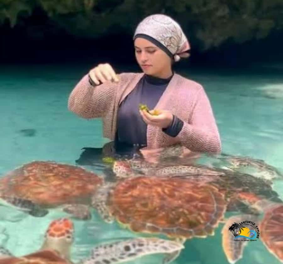 Zanzibar: Swimming with Turtles at Salaam Cave Aquarium - Who this works best for (and who should be cautious)