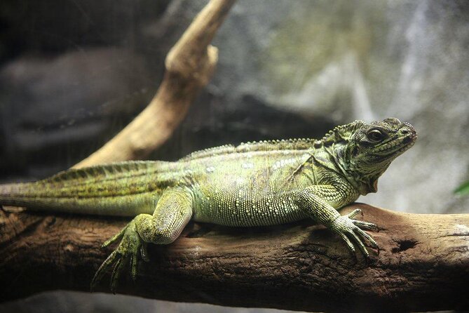 Zaragoza Aquarium Admission Ticket - Key Highlights