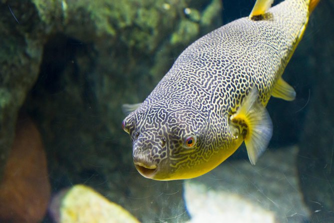 Zaragoza Aquarium Admission Ticket - The Building Concept: Glaciers to the Great River World