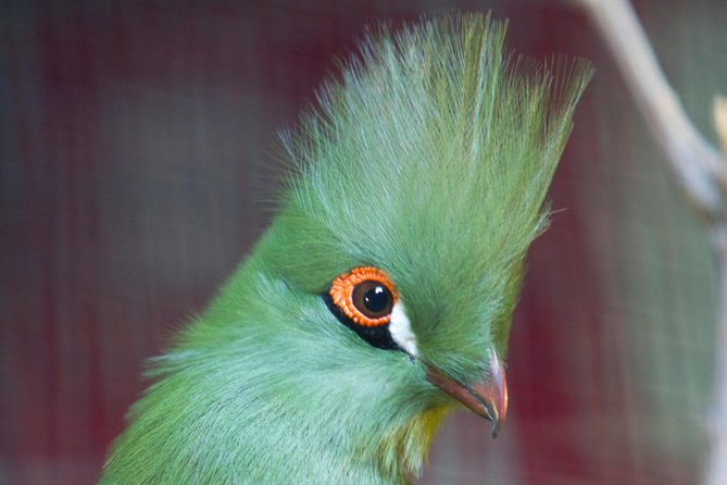 Zaragoza Aquarium Admission Ticket - The River Ships: Nilo, Mekong, and Murray-Darling Areas