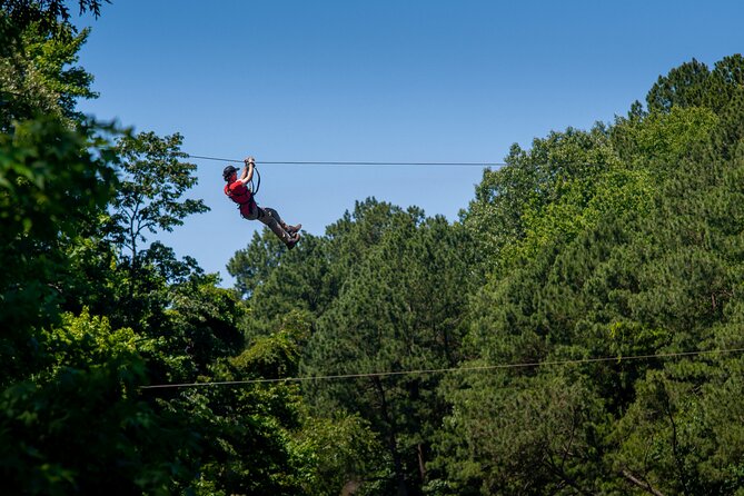 Ziplining and Climbing at The Adventure Park at Virginia Aquarium - Key highlights to know before you go