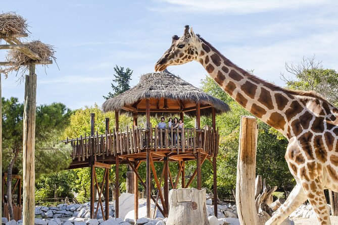 Zoo Aquarium Madrid Admission Ticket - Shows and Feedings: Make the Schedule Work for You